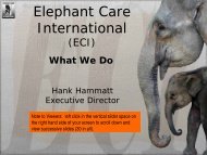 What We Do.pdf - Elephant Care International
