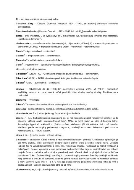 CI – skr - datasolution.sk