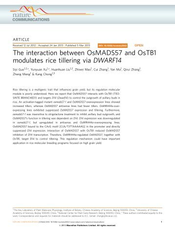 The interaction between OsMADS57 and OsTB1 modulates rice ...