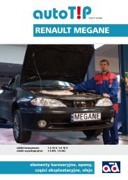 AutoTip nr 6 Renault Megane