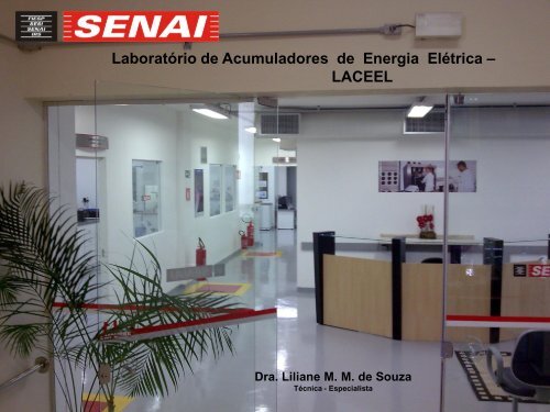 objetivos laceel - Senai