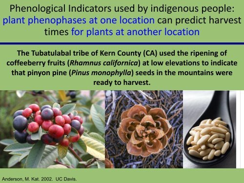 CPP - USA National Phenology Network