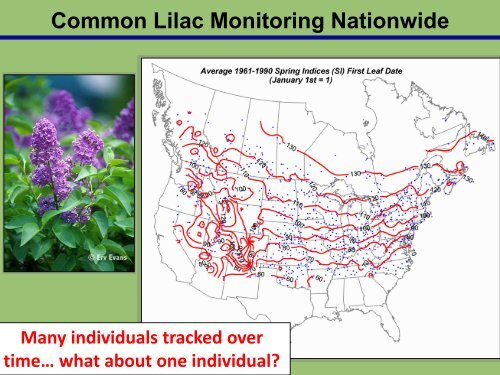 CPP - USA National Phenology Network