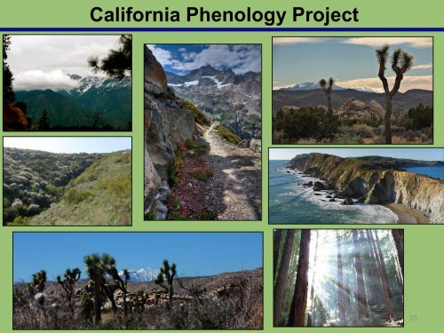 CPP - USA National Phenology Network