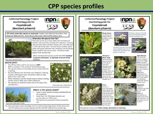 CPP - USA National Phenology Network