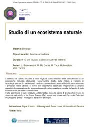 Studio di un ecosistema naturale - OutLab.ie