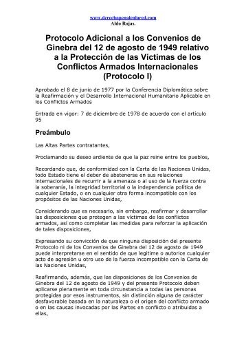 Protocolo I - Derecho Penal en la Red