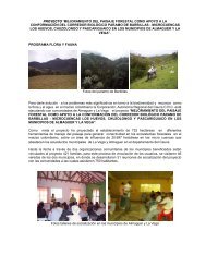 proyecto “mejoramiento del paisaje forestal como apoyo a la ...