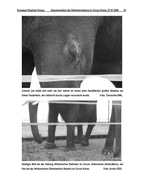 Dokumentation der Elefantenhaltung im Circus Krone