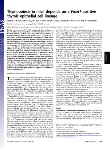 Thymopoiesis in mice depends on a Foxn1-positive thymic epithelial ...