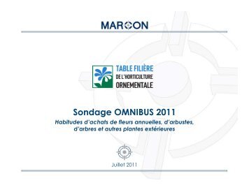 Sondage OMNIBUS sur les achats au printemps (2011) (TFHO)