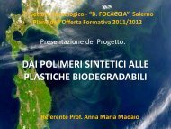 DAI POLIMERI SINTETICI ALLE PLASTICHE ... - Itisfocaccia.it