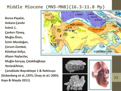 Late Miocene