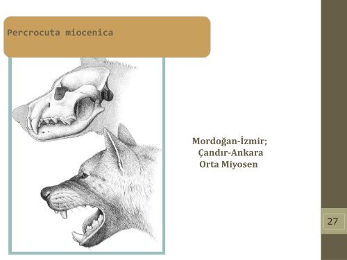 Late Miocene