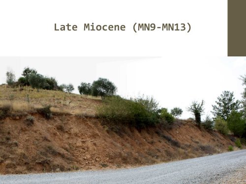 Late Miocene
