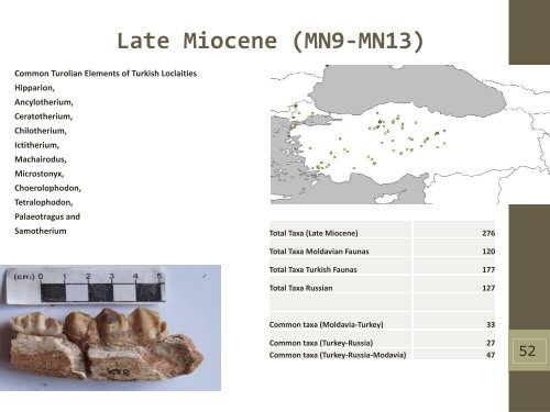 Late Miocene