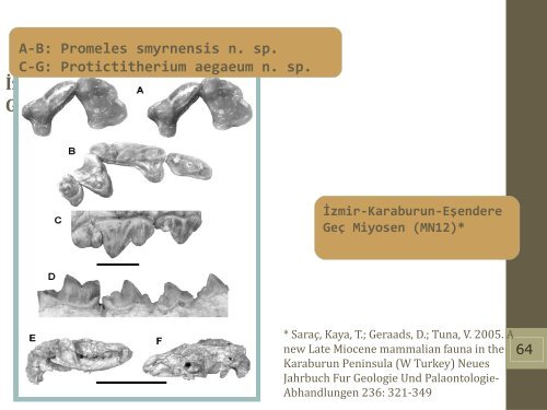 Late Miocene