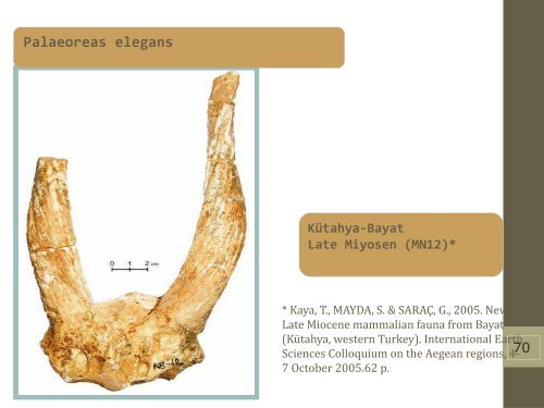 Late Miocene