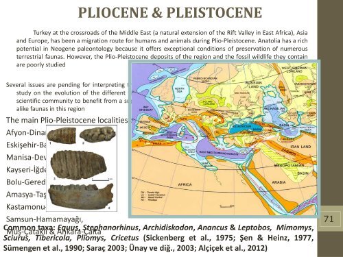 Late Miocene