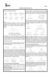 Clase 07 ORGANICA PARTE 03.pdf