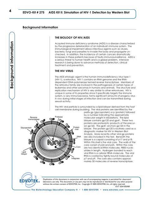 Experiment Procedures - Frederiksen