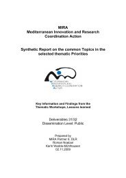 Synthetic Report on the Thematic Workshops - MIRA Coordination ...