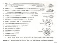 DISEASES OF FLOWERS, LEAVES AND STEMS