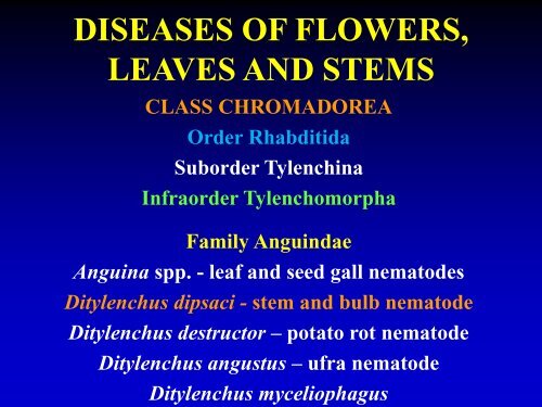 DISEASES OF FLOWERS, LEAVES AND STEMS