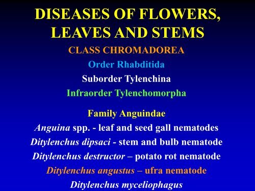 DISEASES OF FLOWERS, LEAVES AND STEMS