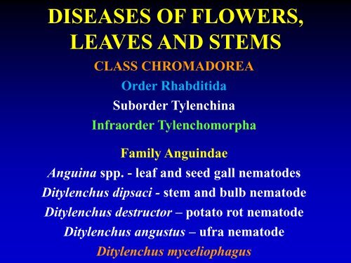 DISEASES OF FLOWERS, LEAVES AND STEMS