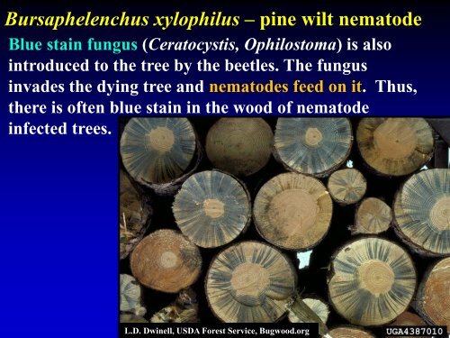 DISEASES OF FLOWERS, LEAVES AND STEMS