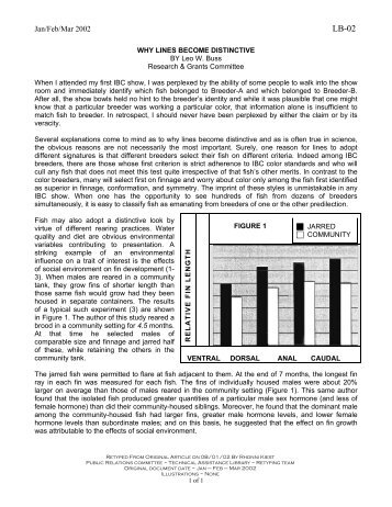 LB-02: Why Lines Become Distinctive