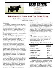 Inheritance of Color And The Polled Trait - American Simmental ...