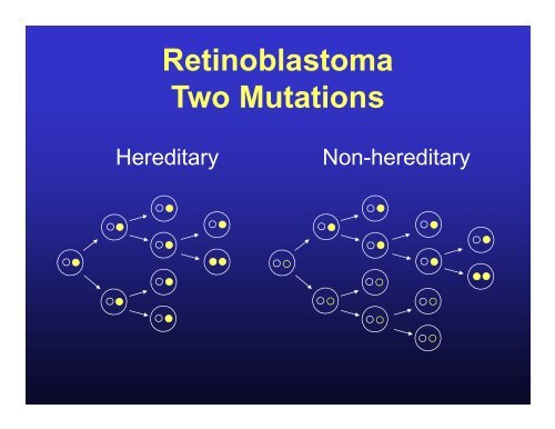 Leopold Koss Lectureship Cellular Mechanisms in Hereditary Cancer