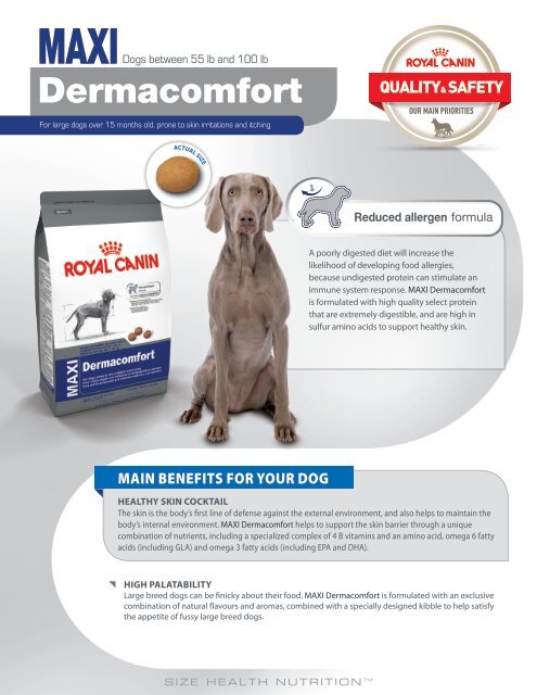 maxi dermacomfort royal canin