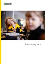 Årsredovisning 2010 (pdf, nytt fönster) - Skellefteå kommun