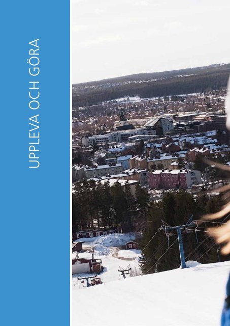 Årsredovisning 2010 (pdf, nytt fönster) - Skellefteå kommun
