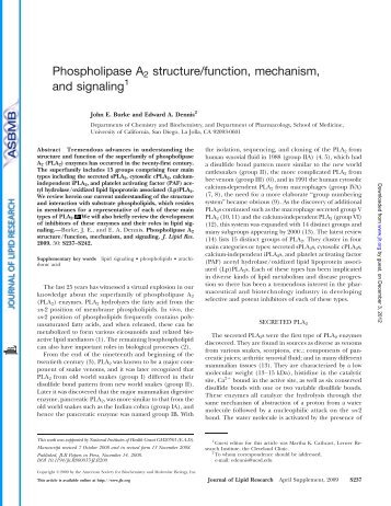 Phospholipase A2 structure/function, mechanism, and signaling