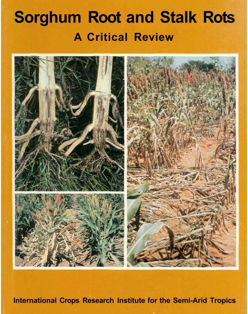 Sorghum Root and Stalk Rots - Agropedia