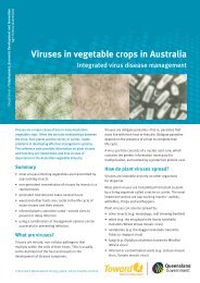 Viruses in vegetable crops in Australia