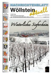 KW 07 / 14.02.2013 - Verbandsgemeinde WÃƒÂ¶llstein