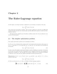 The Euler-Lagrange equation