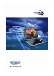 DVD Menu Setup - Napoli Electronics