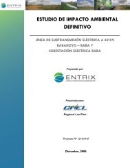 ESTUDIO DE IMPACTO AMBIENTAL DEFINITIVO - CONELEC