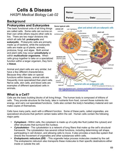02 Cells & Disease - haspi 02 Cells & Disease - haspi