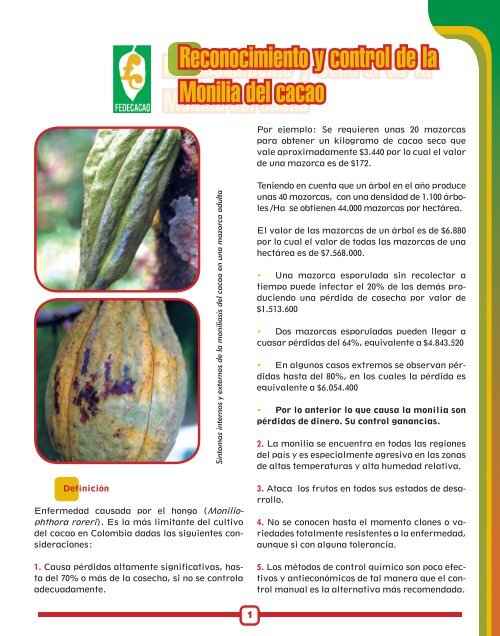 Reconocimiento y control de la Monilia del cacao Reconocimiento y ...