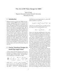 The Art of RF Pulse Design for MRS