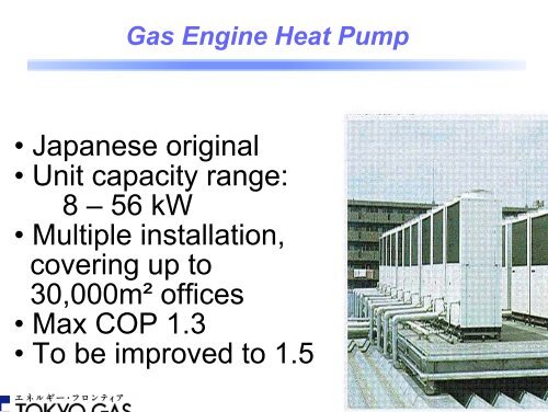 Natural Gas Technologies and Markets: Japanese Experience