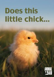 Does this little chick... - Animal Aid