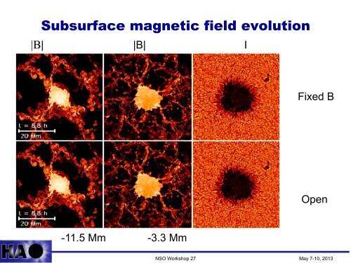 Numerical Simulations of Solar Magneto-Convection